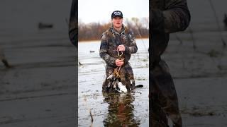 Successful day duck hunting #shorts #duckhunting #waterfowl #waterfowl #havocboats #ducks #texas