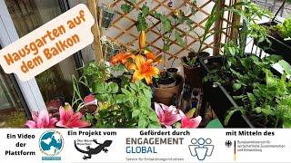 Alternative Landwirtschaft. Hausgarten auf dem Balkon