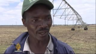   China invests millions in Zambia's farming sector | Al Jazeera English