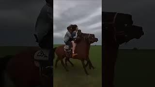 Kazakhs are the last generation of centabrs.Қазақтар – кентабрлердің соңғы ұрпағы #a horse