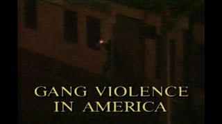 20th Century with Mike Wallace: Gang Violence in America