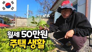 29살 청년의 시골 주택 생활기 [주택생활1]