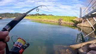 Canal Fishing With The Smallest Lures I Have Ever Used