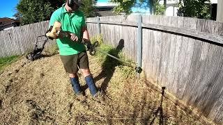 HUGE yard clean up