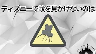 【パート②】ディズニーランド＆シーの面白い雑学や豆知識まとめ