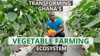 Tropical Growers: Transforming Ghana’s Vegetable Farming Ecosystem