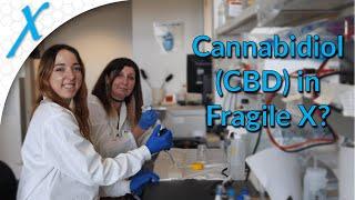 Cannabidiol (CBD) in Fragile X syndrome (FXS) and Autism Spectrum disorder (ASD)