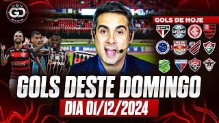 ️ TODOS OS GOLS DESTE DOMINGO 01/12/2024 GOLS DE HOJE, GOLS DO DIA, GOLS DO BRASILEIRÃO (COMPLETO)