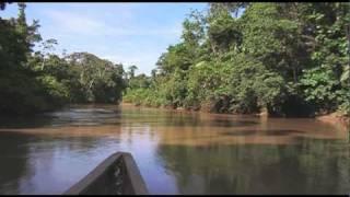 Eyes Wide Open: Exploitation of the Amazonia