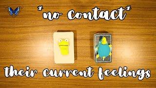 *NO CONTACT* THEIR CURRENT FEELINGS FOR YOU  Timeless Tarot Reading 