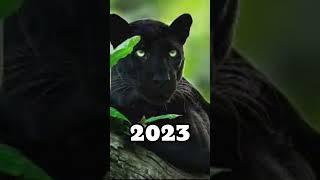 2023 black panther and 5000  bce black panther #panther#viral#shorts.