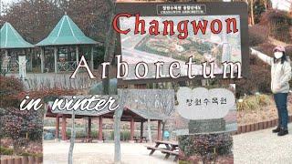 Changwon Arboretum in Winter