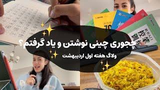 چجوری چینی مینویسم؟| تمرین خط چینی | ولاگ هفته اول اردیبهشت۱۴۰۳|