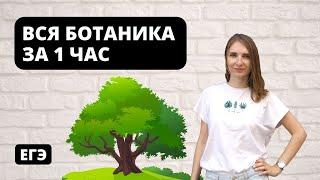 Вся Ботаника за 1 час | ЕГЭ Биология