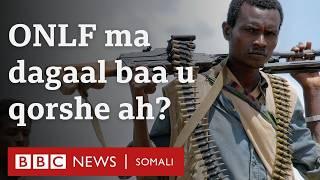 ‘Waxay noqon kartaa inaan dagaalano... Kumaandoos keenna waa diyaar’ Guddoomiyaha Jabhadda ONLF