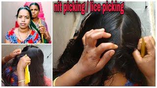 Routine Nit picking / Lice picking by Mother-in-law || with heavy oil and Real sounds || Long Hair