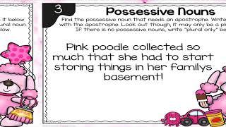 Possessive Nouns