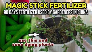 90 DAY FERTILIZER FROM CHINA FOR SUCCULENTS AND ORNAMENTAL PLANTS || Effective or not? Growing Ferns