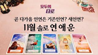 [타로] 11월 솔로 연애운!