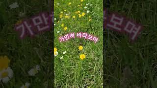 재능대학교 복지케어과 (옹달선생)야생화