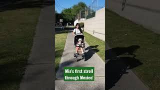 Mia's first stroll through Mexico.