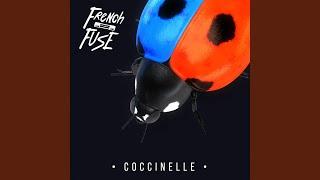 Coccinelle