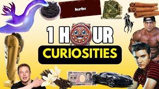 1 HOUR Of AMAZING CURIOUS FACTS That Will SUPRISE You⏰| #6