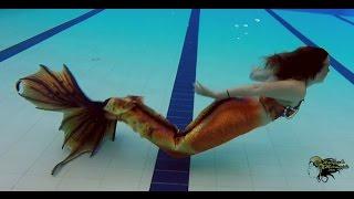 Raina Mermaid swims in Sussex, NB