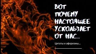 Высказывания великих людей  Цитаты и афоризмы