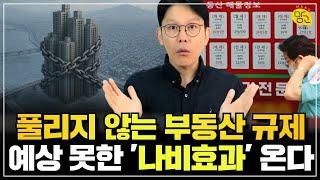 이런 규제로 집값을 잡는다구요?