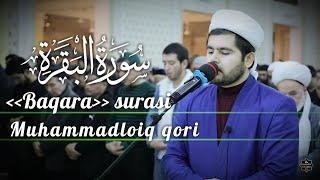 @MuhammadloiqQori BAQARA SURASI | MUHAMMADLOIQ QORI | GO‘ZAL QIROAT