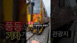 풍등 날리다보면 기차가 달려오는 관광지 | 위험한 듯 안전한 이곳은 어디일까?