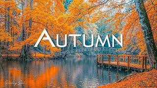 Beautiful Relaxing Music - Soothing Autumn Melodies, Mindful and Peaceful Piano Instrumental Music