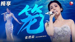 听得鸡皮疙瘩起来了！张碧晨献唱消失的她主题曲《笼》听完恋爱脑都好了！#张碧晨 #音乐盛典