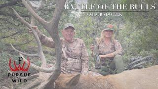 Battle of the Bulls - Colorado Archery Elk Hunt