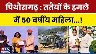 पिथौरागढ़ : ततैयों के हमले में 50 वर्षीय महिला ! Breaking News Pithoragarh | NIN NEWS UPDATE |