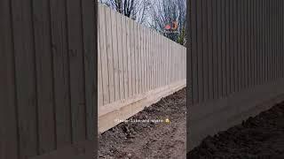 "3m Timber Fencing Project with Galvanised Steel Posts | DIY Fencing Guide" #diy #fencing #fence