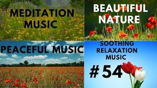 soothing relaxation|relaxation music|meditation music|energy Power growth music|peaceful music #55