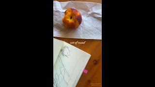 art of sound asmr ️  #asmr #asmrvideo #naturesounds #doodle #sketchbookart #peach #illustrator