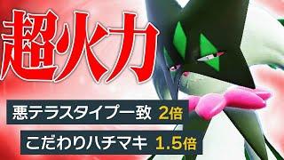 【受け不可能】無限の技範囲と最強火力で全てのポケモンを破壊する『マスカーニャ』って強すぎないか？？【ポケモンSV】