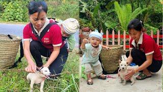 Harvesting green vegetables to sell - On the way home - accidentally met a stuck puppy