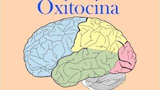 Oxitocina