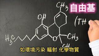 「自由基：健康殺手的真面目！探索自由基的形成和危害，學習如何預防和抵禦自由基對身體的傷害」