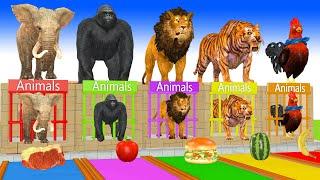 Paint Animals Elephant,Tiger,Gorilla,Lion,Chicken Fountain Crossing Transformation Animals Cartoon