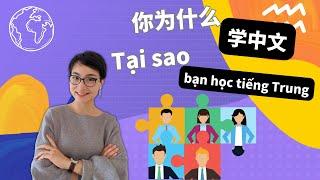 【VIETSUB + PINYIN】Học tiếng Trung để làm gì - 你为什么学习中文 | Luyện Nghe Tiếng Trung - 每日中文课