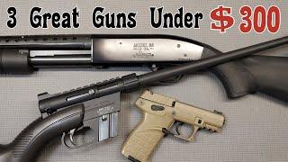 3 Great Budget Firearms Under $300 That Are Accurate & Reliable - Mossberg - Henry - Kel Tec