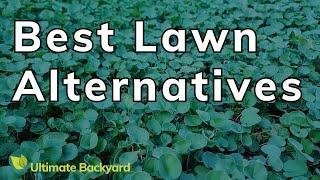 Best Lawn Alternatives for Australian Gardens