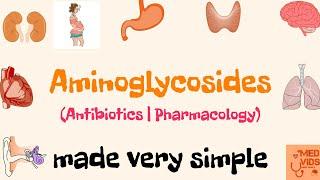 Aminoglycosides | Antibiotics | Pharmacology | Med Vids Made Simple