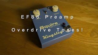 Kingsley Squire EF86 | Tube Preamp Overdriven Tones (Playthrough - No Talking)