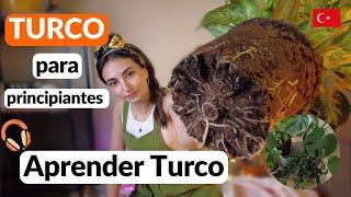 10 |  Mis plantas |  Aprende vocabulario en turco |  clases de turco |  turco para principiantes